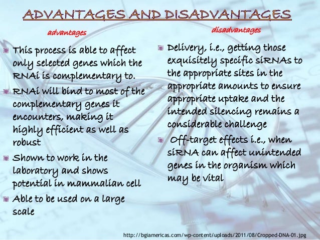 Advantages of shagging